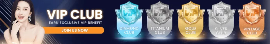 VIP Program Tiers